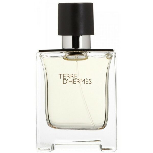 Hermes - Terre D'Hermes Eau de Toilette 100 ml