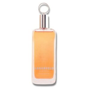 Karl Lagerfeld - Lagerfeld Classic - 100 ml - Edt