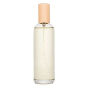 Nina Ricci - L'Air du Temps Eau de Toilette Refill Spray - 100 ml
