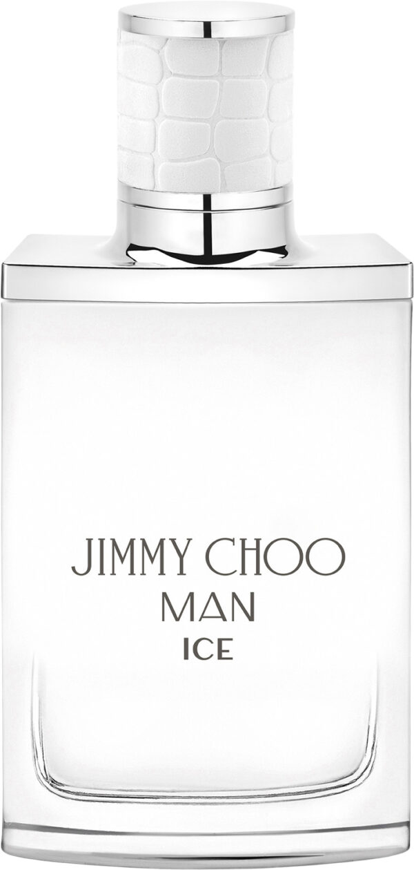 Man Ice Eau De Toilette