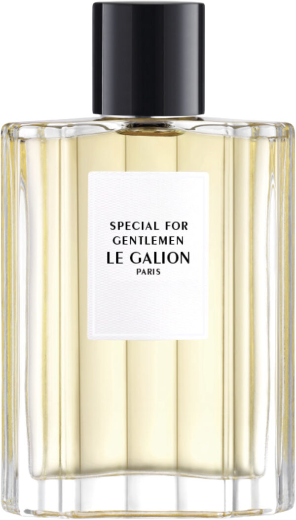 LE Galion Special For Gentlemen EdP Natural Spray 100 ml