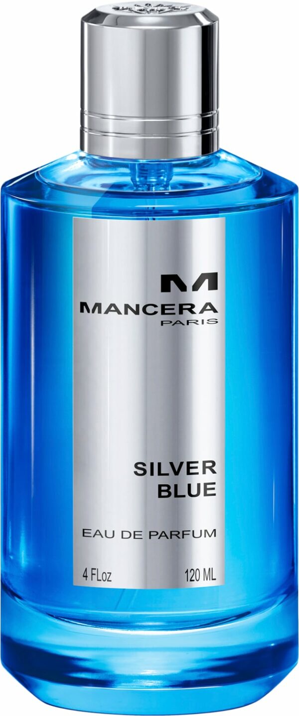 Silver Blue Eau de Parfums 120 ml