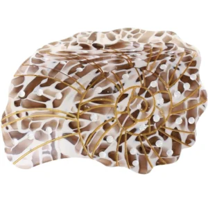 By Stær BEACH SHELL Hair Clip - Brown