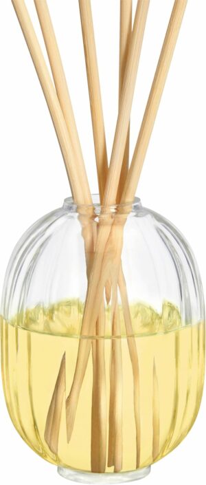 Reed Diffuser & 200ml Refill Sapin